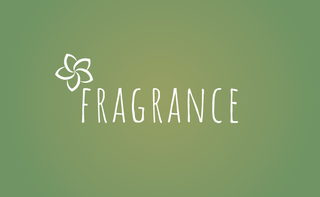 Zu unserer fragrance-Kollektion